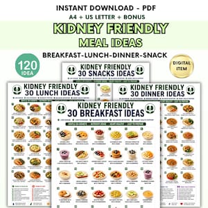 May include: A digital PDF document titled Kidney Friendly Meal Ideas featuring 120 meal suggestions across four pages for breakfast, lunch, dinner, and snacks. Each page displays 30 numbered food items with text descriptions and small circular images.
