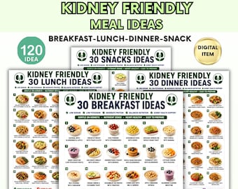Kidney Friendly Meal Ideas Bundle Printable, Renal Diet Food Ideas PDF, CKD Meal Planner, Low Sodium Kidney Diet, 120 Meal & Snack Ideas
