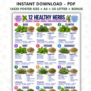 May include: A digital poster titled 12 Healthy Herbs featuring numbered sections for basil, parsley, cilantro, mint, oregano, rosemary, thyme, dill, sage, chives, tarragon, and lemon balm. Each entry includes a photograph of the fresh herb and dried version.