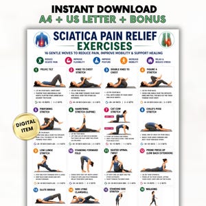 Könnte beinhalten: Ein digitales Poster mit dem Titel Sciatica Pain Relief Exercises, das 16 nummerierte Illustrationen von Personen bei verschiedenen Dehnübungen und Bewegungen zeigt. Die Tabelle enthält Textanleitungen, Wiederholungszahlen und Symbole.