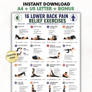 May include: A digital instructional poster titled 16 Lower Back Pain Relief Exercises, featuring numbered illustrations of various stretches and movements with text instructions, repetition counts, and set recommendations for each exercise.