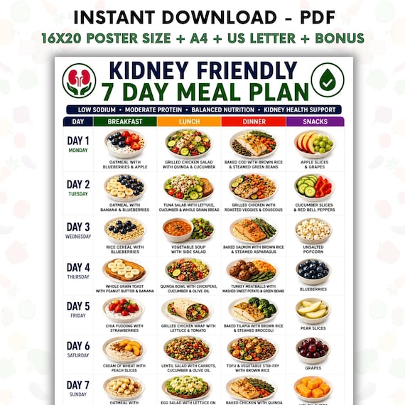 Kidney Friendly 7 Day Meal Plan Printable, Renal Diet Plan PDF, CKD Meal Planner, Low Sodium Weekly Menu, Kidney Disease Diet Chart