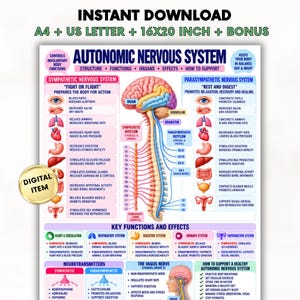 Könnte beinhalten: Ein Lehrplakat mit dem Titel Autonomic Nervous System mit einer zentralen Abbildung des menschlichen Gehirns und Rückenmarks. Es beschreibt das sympathische und parasympathische System mit Text, Diagrammen und Symbolen.