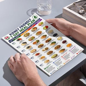 Kidney Friendly 7 Day Meal Plan Printable, Renal Diet Plan PDF, CKD Meal Planner, Low Sodium Weekly Menu, Kidney Disease Diet Chart image 9