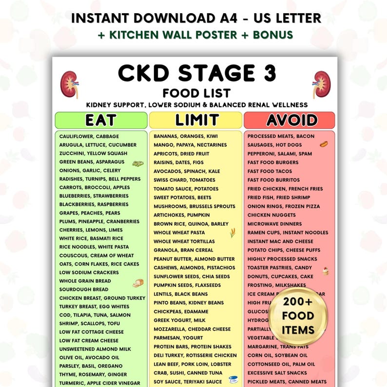 Buy CKD STAGE 3 Food List Printable, Kidney Friendly Renal Diet Eat ...