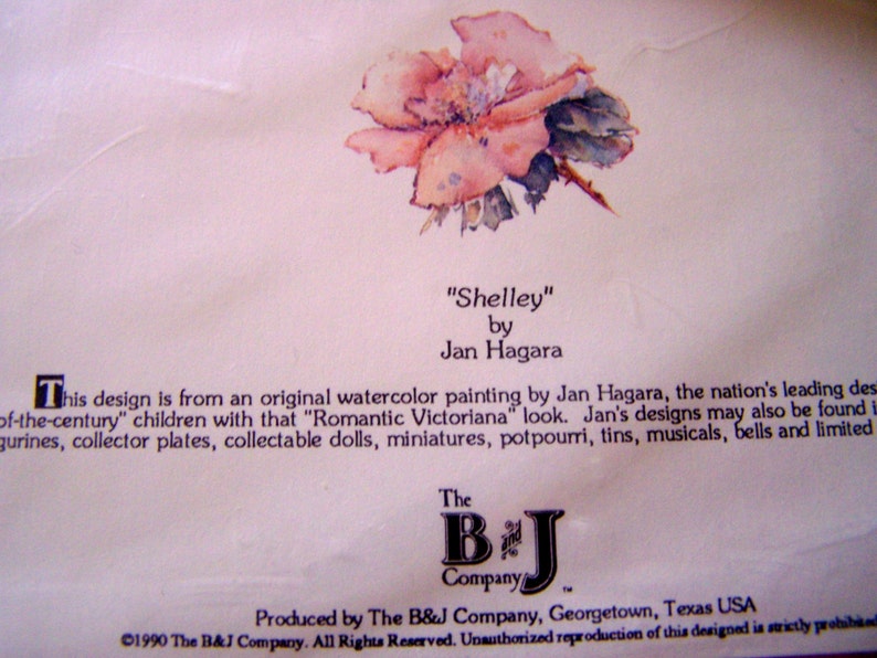 Pode incluir: Uma pintura de aquarela de uma flor rosa com folhas verdes, intitulada "Shelley" por Jan Hagara. O design &eacute; de uma pintura de aquarela original de Jan Hagara, o principal designer de artigos para crian&ccedil;as do "fim do s&eacute;culo". A pintura &eacute; produzida pela The B&J Company, Georgetown, Texas USA.