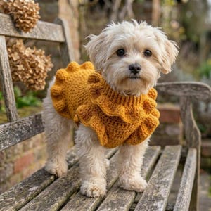 Pode incluir: Um cão pequeno e fofo usando um suéter de crochê amarelo mostarda com babados. O cão está em pé em um banco de madeira ao ar livre. O suéter tem uma gola alta e um design decorativo e texturizado.