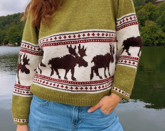 Modèle de tricot Moose Raglan