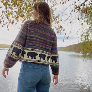 May include: A long-sleeved knit sweater featuring a horizontal multi-colored striped pattern in shades of purple, green, and brown, with a cream-colored band around the midsection displaying a repeating black bear silhouette motif, paired with blue jeans.