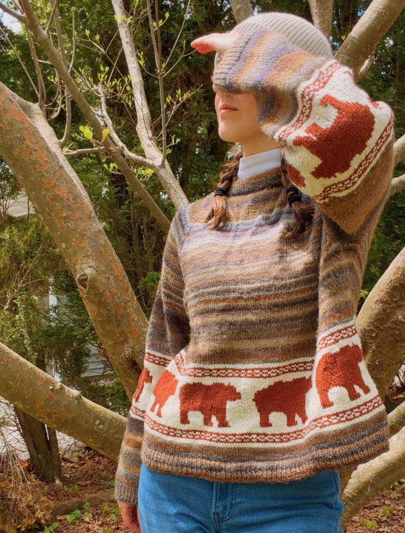 May include: A long-sleeve knit sweater featuring a horizontal striped pattern in shades of brown, tan, and blue. The sweater includes a white band near the hem and cuffs decorated with a repeating pattern of rust-colored bear silhouettes.