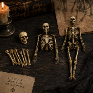 May include: A miniature 1:12 scale skeleton set, featuring a skull, articulated skeletons, and individual bones. The set is made of a tan-coloured material and is displayed on a dark wooden surface. A lit candle and antique paper are in the background.