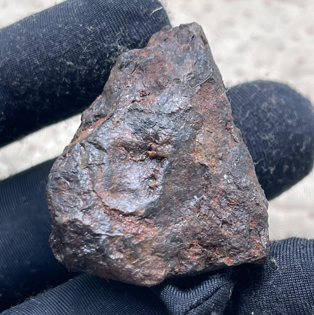 Muonionalusta Meteorite Slice: Protolith Etched Iron Specimen ...
