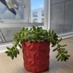May include: A vibrant red cylindrical planter featuring a geometric, faceted surface pattern. The planter holds a green succulent plant with multiple rosettes and trailing stems that drape over the sides of the container, creating a contrast.