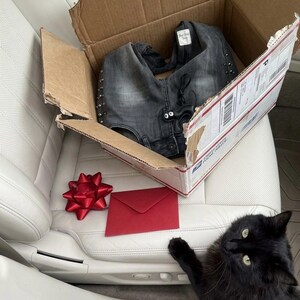 May include: A cardboard box containing a pair of gray denim jeans with silver studs and a tag. A red bow and envelope sit next to the box on a white leather seat. A black cat is in the foreground.