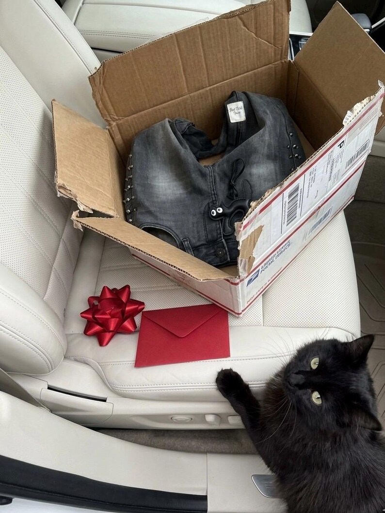 May include: A cardboard box containing a pair of gray denim jeans with silver studs and a tag. A red bow and envelope sit next to the box on a white leather seat. A black cat is in the foreground.