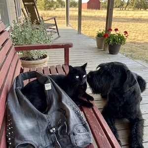 May include: A black cat and a black Schnauzer dog are on a red bench with a denim handbag. The handbag is gray with silver studs and a black decorative element. The cat has white eyes. The background shows a porch and a red barn.