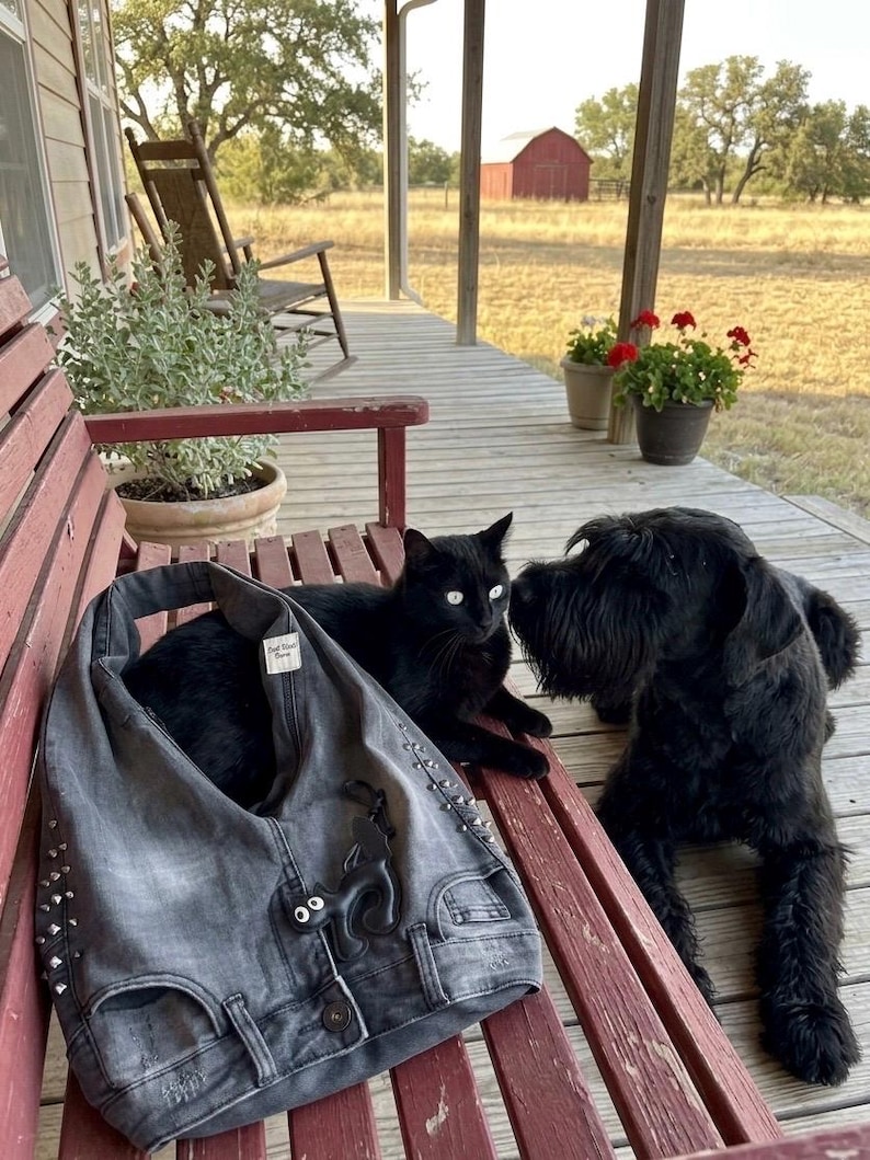 May include: A black cat and a black Schnauzer dog are on a red bench with a denim handbag. The handbag is gray with silver studs and a black decorative element. The cat has white eyes. The background shows a porch and a red barn.