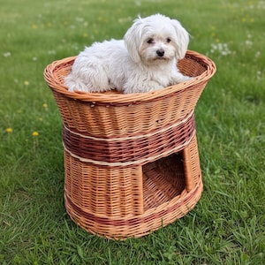 May include: A small, white dog rests inside a woven wicker pet bed. The bed is a combination of light and dark brown hues, with a two-story design. The dog bed is placed on a grassy lawn.