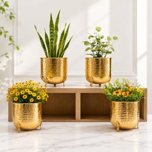 May include: Four cylindrical gold-toned metal planters with a hammered texture and three small feet. Two planters are elevated on a wooden shelf, while two sit below. Each contains a different green plant, including yellow flowers and a snake plant.