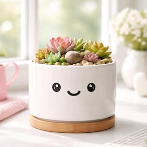 May include: A white ceramic planter with a smiling face design, filled with colorful succulents and small stones. The planter sits on a round wooden base. The succulents include shades of green, pink, and yellow.