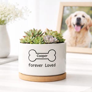 May include: A white ceramic planter with a wooden base, featuring a bone graphic and the name "Cooper" with "forever Loved" below. The planter holds several succulents. A framed photo of a golden retriever is in the background.