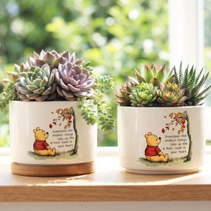 May include: Two white ceramic planters with succulents, each featuring a Winnie the Pooh illustration and the quote, "Sometimes the smallest things take up the most room in your heart." The planters sit on a wooden base.