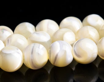 8MM Milky Yellow Trochidae Shell Beads Grade AAA Gemstone Round Loose Beads 15.5" / 7.5" Bulk Lot Options (105570)