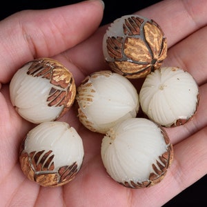 May include: Six white and brown carved beads with a floral design. The beads are round and have a smooth, polished finish.