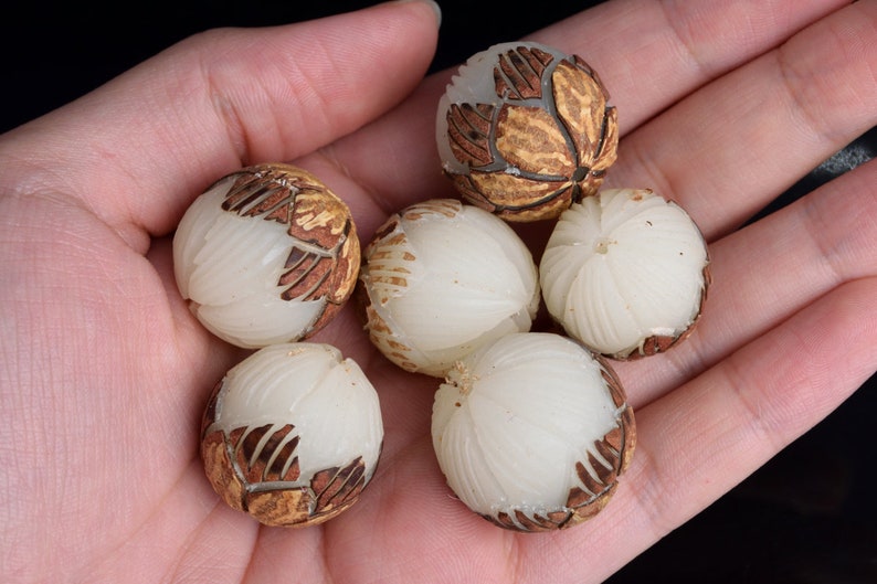 May include: Six white and brown carved beads with a floral design. The beads are round and have a smooth, polished finish.