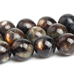 Golden Brown Black Phlogopite Beads Genuine Natural Grade AAA Gemstone Round Loose Beads 6MM 8MM 10MM 12MM Bulk Lot Options