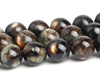 Golden Brown Black Phlogopite Beads Genuine Natural Grade AAA Gemstone Round Loose Beads 6MM 8MM 10MM 12MM Bulk Lot Options