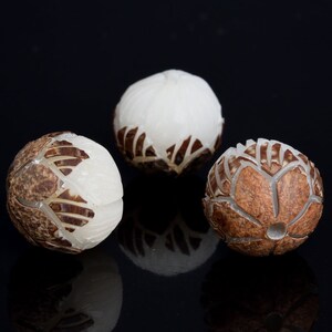 May include: Three round wooden beads with intricate carved designs. The beads are white and brown and have a glossy finish.
