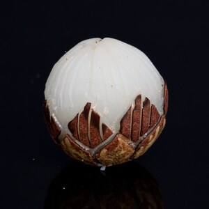 May include: A white, round, carved bead with a brown, intricate design. The bead is made of a smooth, polished material.