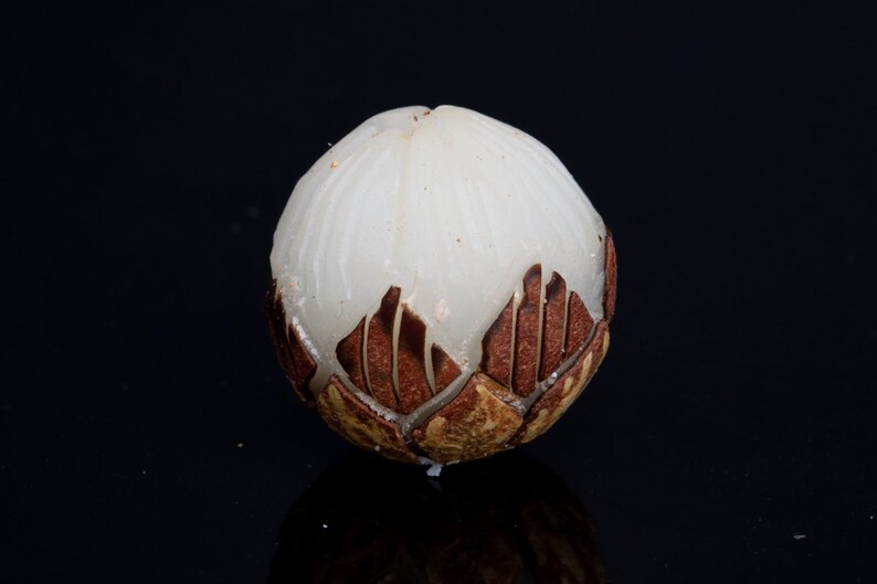 May include: A white, round, carved bead with a brown, intricate design. The bead is made of a smooth, polished material.