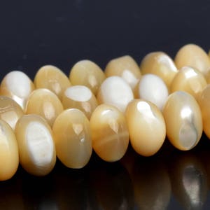6x4MM Yellow Trochidae Shell Beads Grade AAA Genuine Natural Gemstone Rondelle Loose Beads 15.5&quot; BULK LOT 1,3,5,10 and 50 (102896-623)