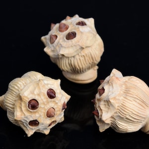 1 Pcs 16MM Natural Boxwood Handcrafted Beads Lotus Seedpod Carved Bulk Lot Options (80206-609)