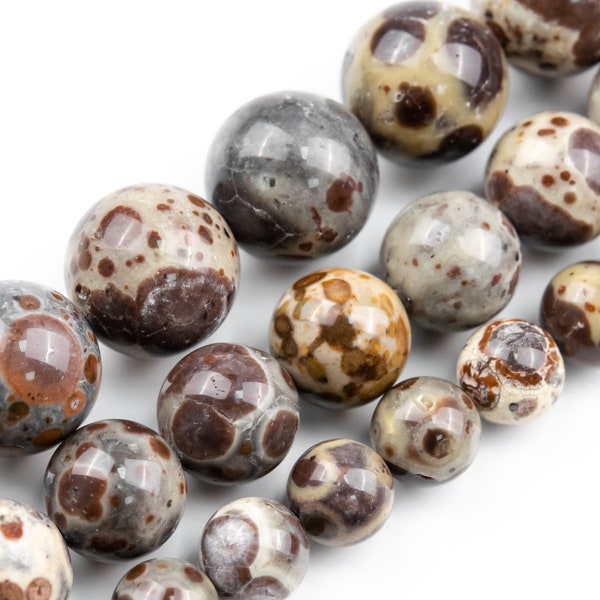 Asteroid Jasper Beads Genuine Natural Grade AAA Gemstone Round Loose Beads 6MM 8MM 10MM Bulk Lot Options