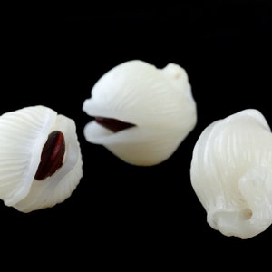 20x15MM Natural White Mala Bodhi Root Sandalwood Grade AAA Handcrafted Pistachio Bell Loose Beads 1 Bead (50802-248)