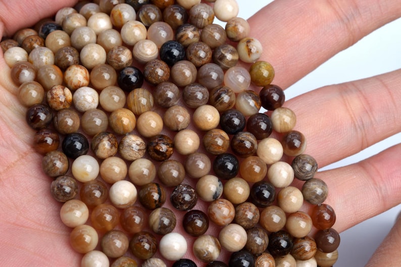103669-944 6MM Brown Petrified Wood Jasper Beads AAA Genuine Natural Gemstone Full Strand Round Beads 15.5 BULK LOT 1,3,5,10,50