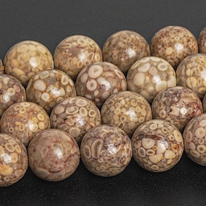 Brown Fossil Coral Beads Genuine Natural Grade A+ Gemstone Round Loose Beads 8MM 10MM Bulk Lot Options