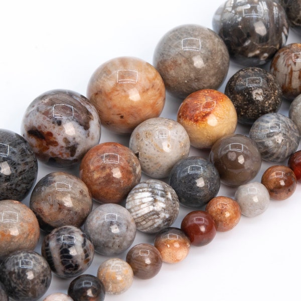 Multicolor Coral Fossil Jasper Beads Genuine Natural Grade AAA Gemstone Round Loose Beads 4MM 6MM 8MM 10MM Bulk Lot Options