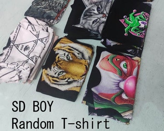 SD17 T-shirt (BOY)