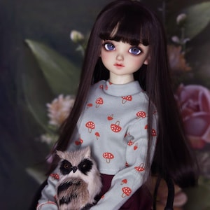 May include: A doll with long dark hair wearing a light blue sweater with red mushroom print and a burgundy skirt. The doll is holding a small stuffed owl.