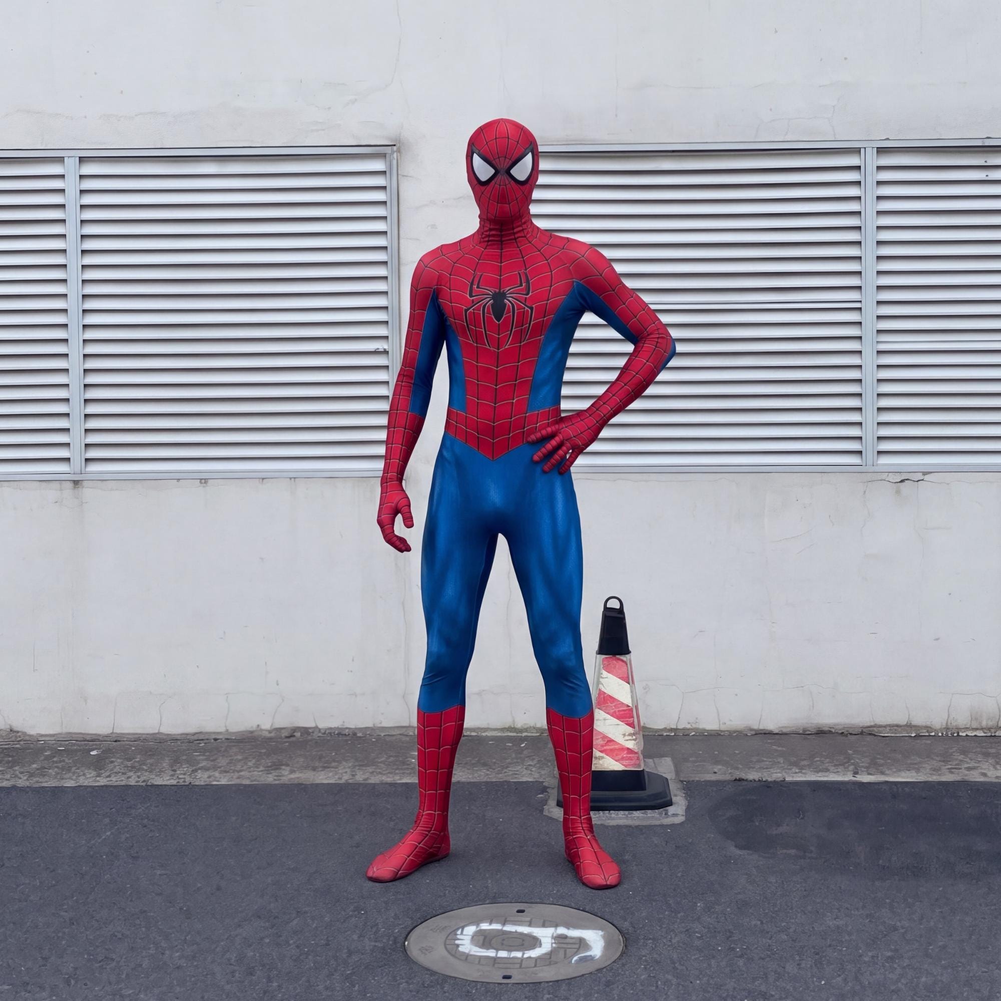Spiderman face mask - Etsy 日本