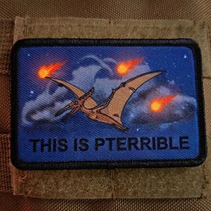 Este es un terrible parche con meme de pterodáctilo de 2x3 pulgadas / Parche divertido de dinosaurio removible con cierre de velcro