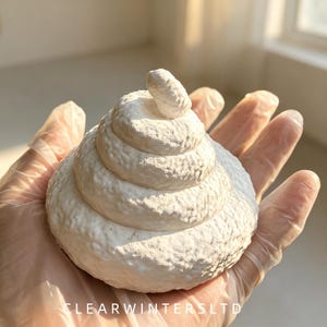 Poepvormige gipsen aromadiffusersteen, grappig cadeau, creatieve gipsen sculptuur, bureauversiering, huisparfumdecoratie, grapcadeau