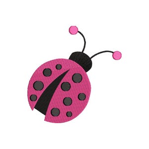 May include: A pink ladybug with black spots and a black head. The ladybug has two pink antennae.