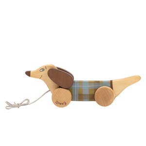 Wooden Dog Pull Toy, 1st birthday gift, Dachshund Toy green