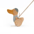 Personalized Wood Push Toy, Classic Push Toy for 1 Year Old, Kids Wooden Toy, Wooden Toddler Toys, Wooden Duck Toy product logo