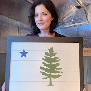 May include: Framed artwork featuring the Maine state flag design. The artwork displays a blue star in the upper left corner and a green pine tree on a white background with horizontal lines. The frame is dark brown.